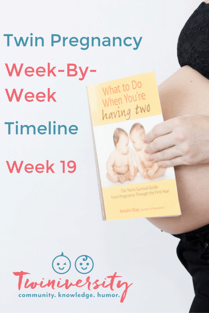 19 Weeks Pregnant With Twins: Tips, Advice & How To Prep - Twiniversity