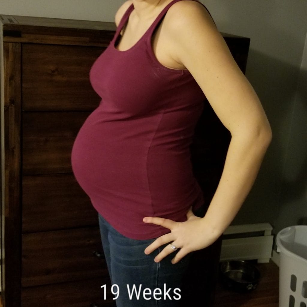 19weekspregnant-twiniversity