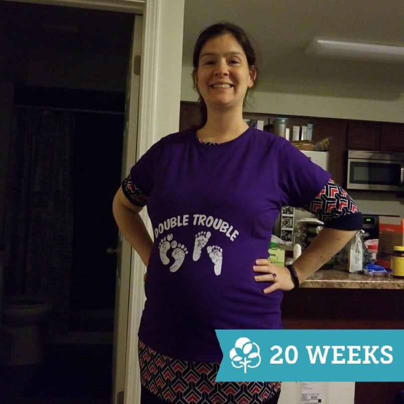 20 Weeks Pregnant With Twins Tips Advice And How To Prep Twiniversity