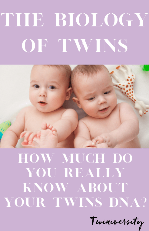 The Biology Of Twins: Do You Know The Science Behind Your Twins ...