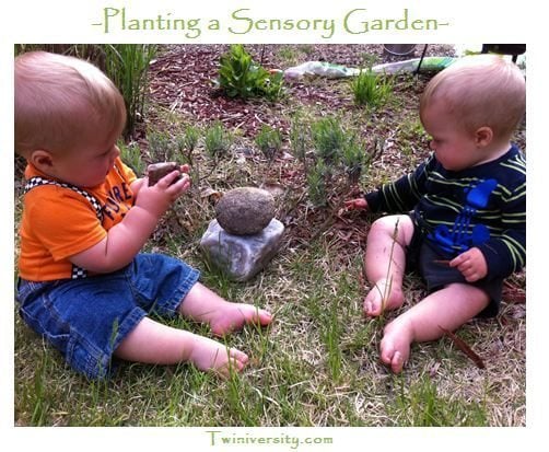 enso sensory zen garden