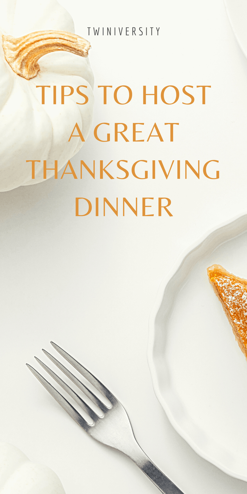 7 Steps To Host Your First Thanksgiving Dinner - Twiniversity