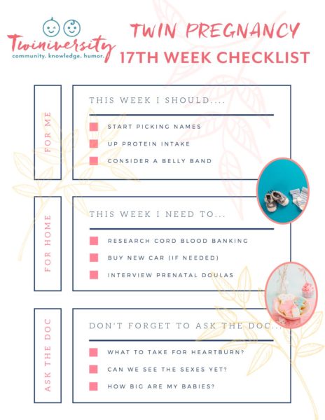 Click here for a FREE printable checklist for your 17th week of twin ...