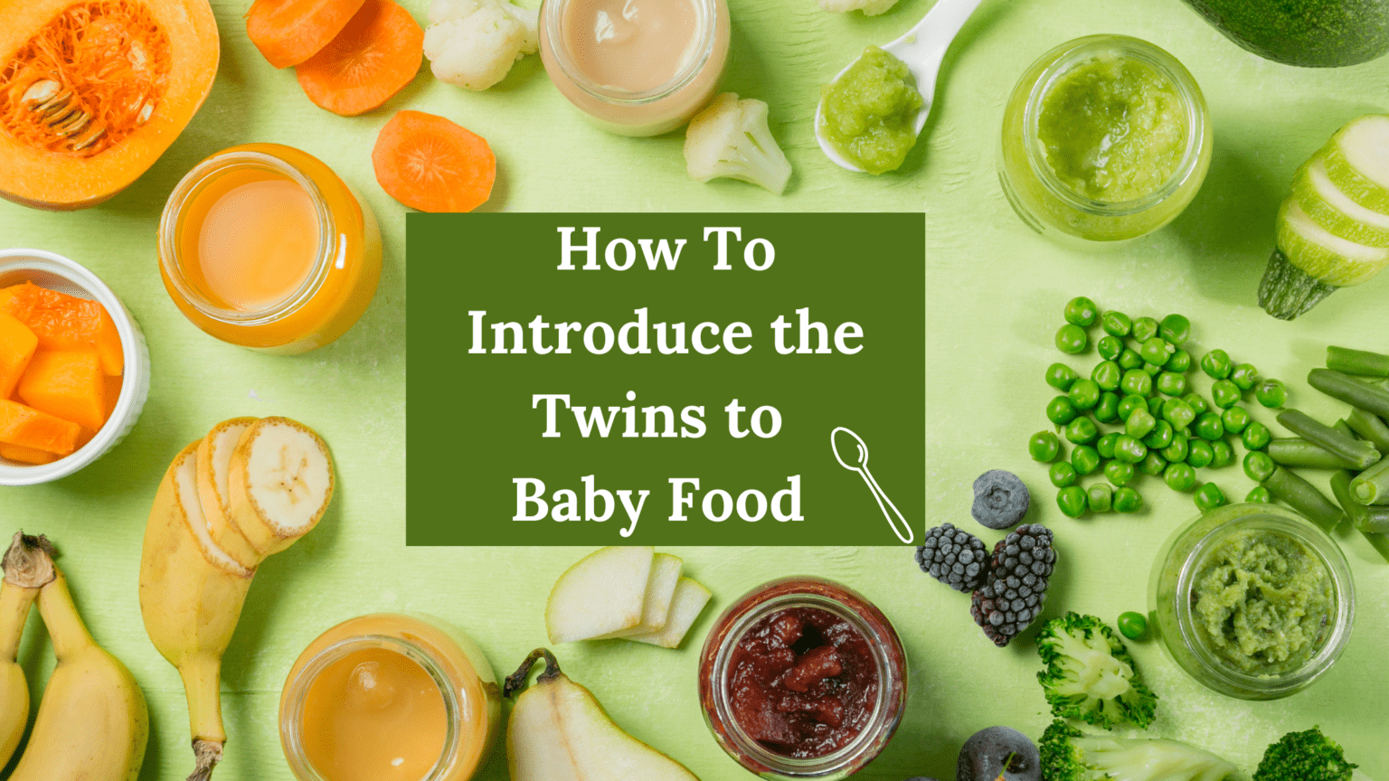 5-tips-to-begin-with-baby-food-twiniversity