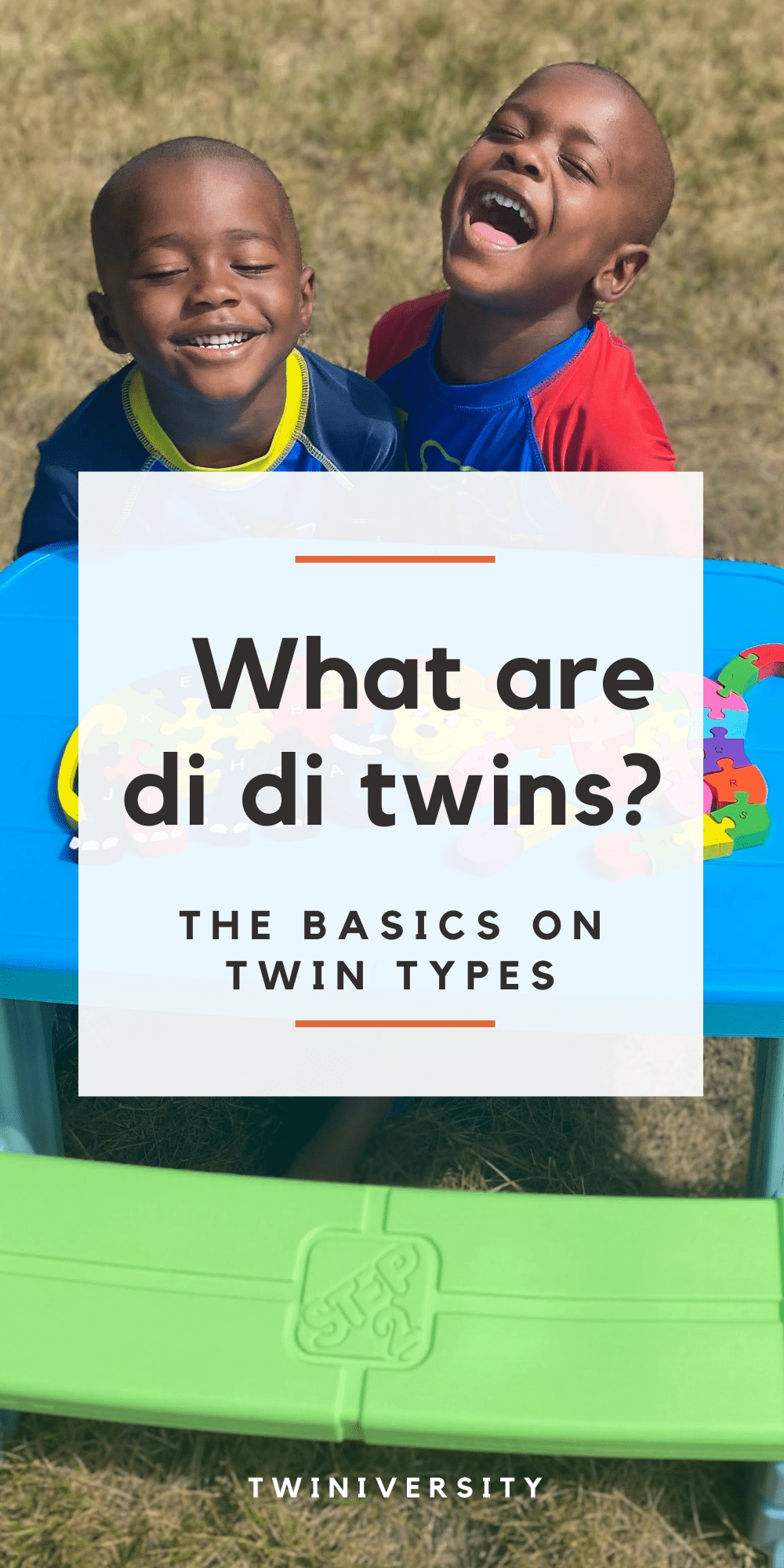 What Are Di Di Twins? - Twiniversity