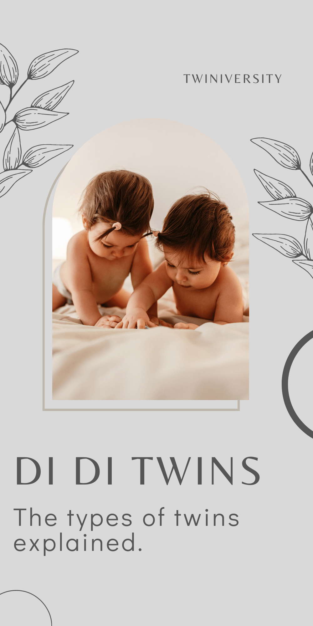 What Are Di Di Twins? - Twiniversity