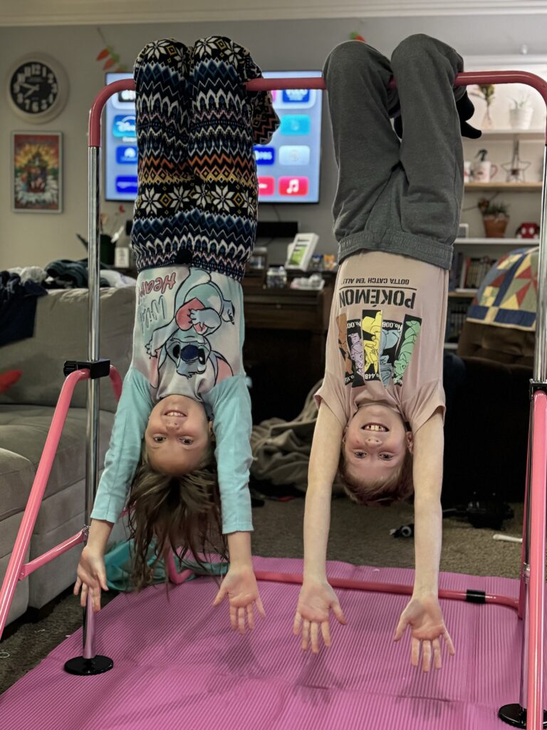 twin bonding on indoor gymnastics bar