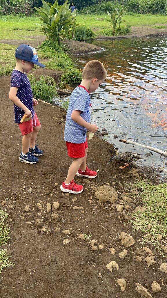 twin boys at the creek for twin bonding