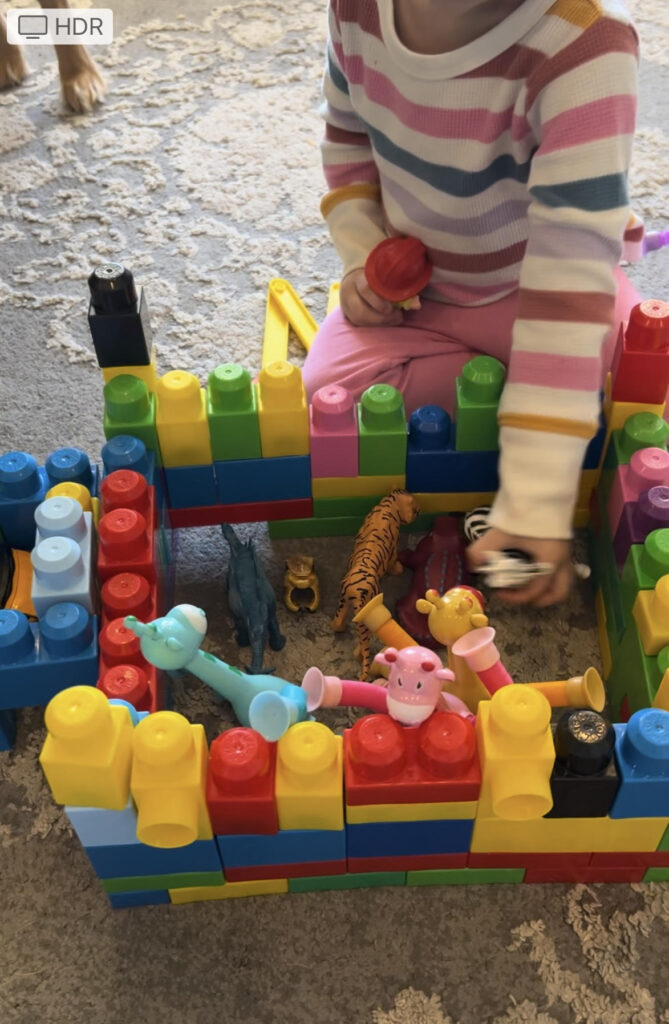 building a zoo with blocks for twin bonding