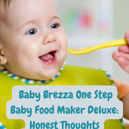 Baby Brezza One Step Food Maker Deluxe review