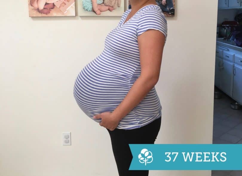 37 Weeks Pregnant With Twins: Tips, Advice & How To Prep | Twiniversity ...