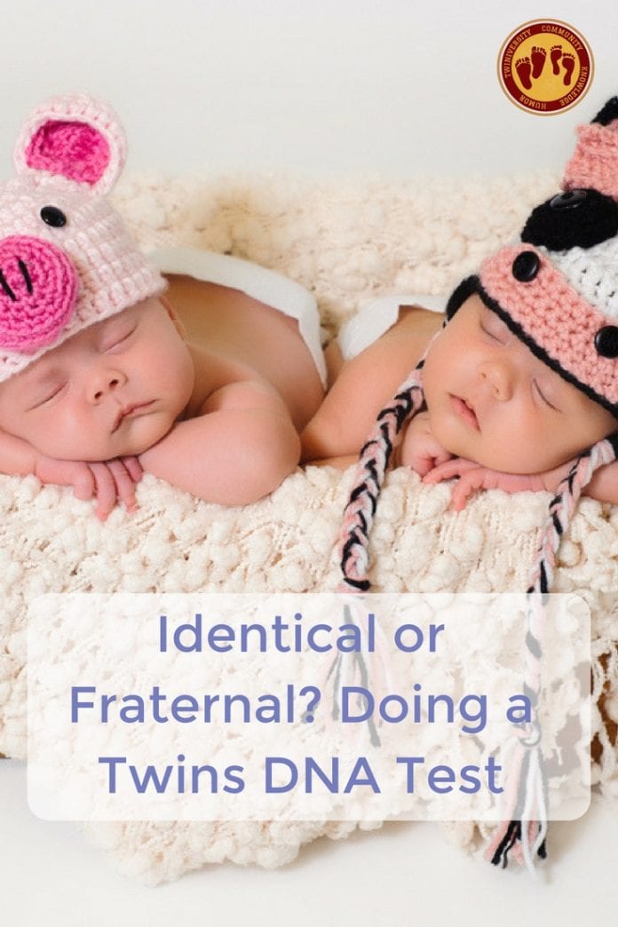 Identical Or Fraternal? Doing A Twins DNA Test - Twiniversity