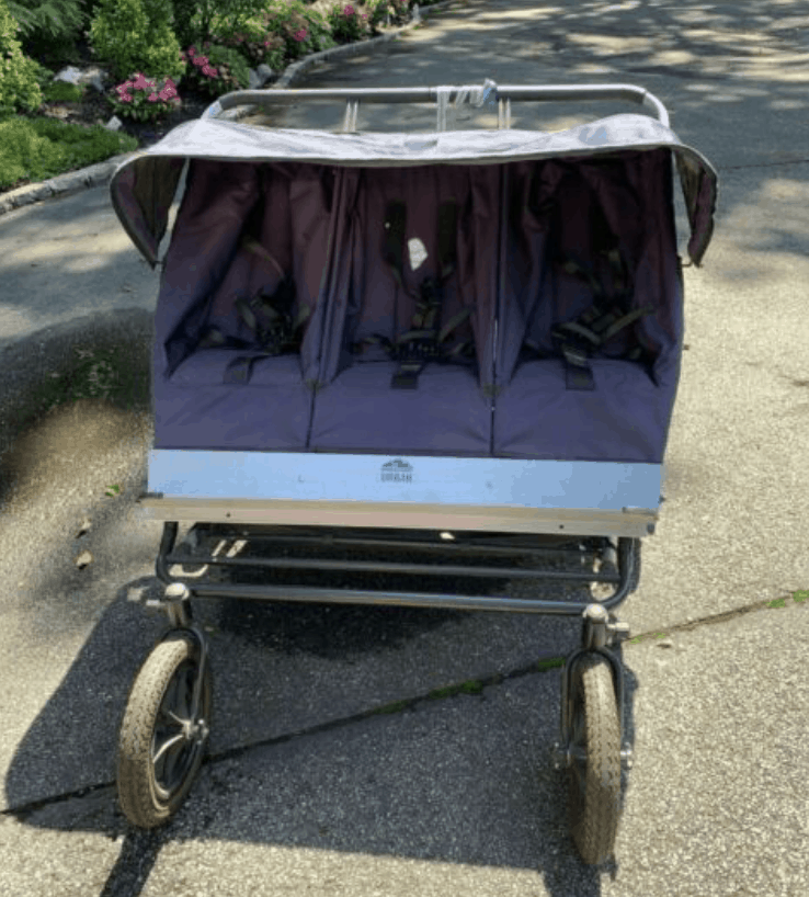 triple stroller used