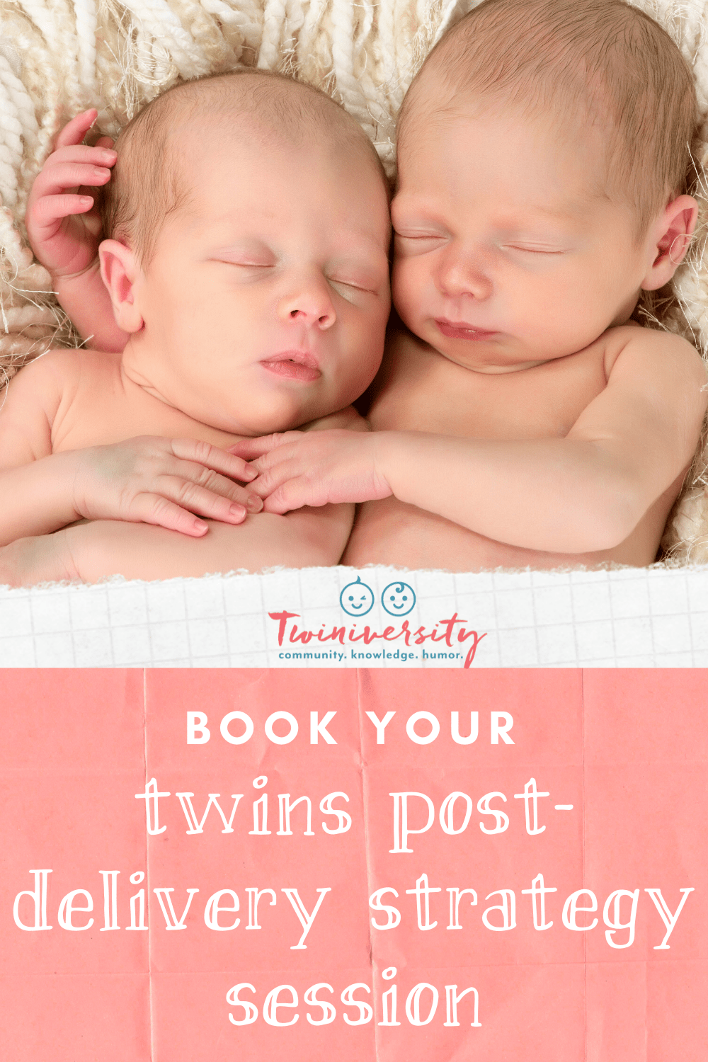 twins-post-delivery-strategy-session-with-postpartum-doula-lauren-oak